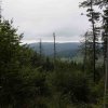 09 b Schluchensteig Etappe 4 - 6